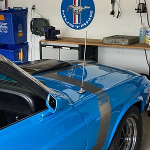 grabber blue mustang sign on wall