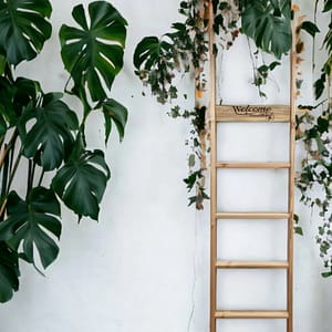 maple ladder with plants