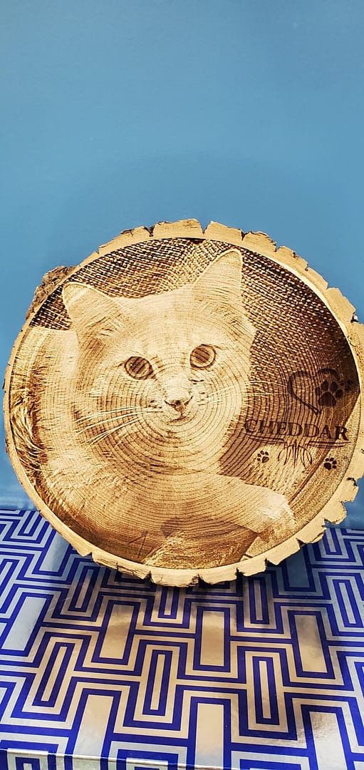 Laser engraved cat on wood round