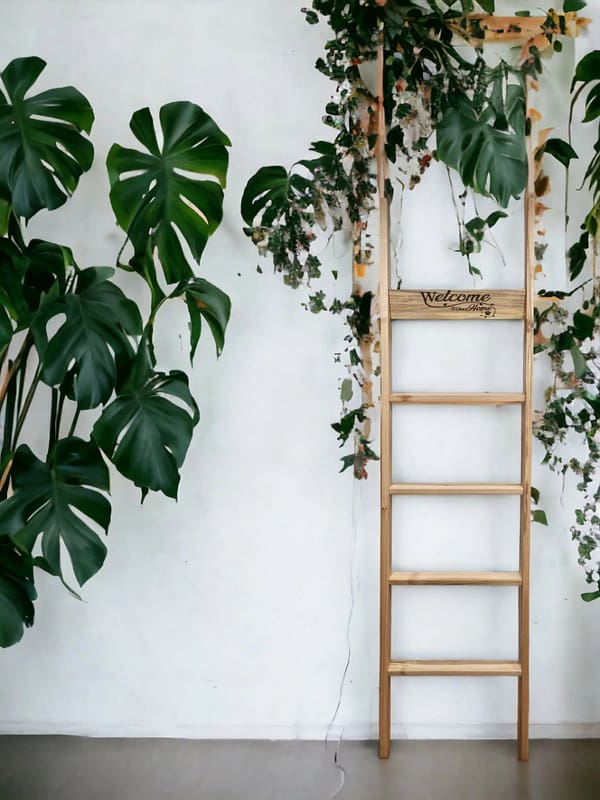 maple ladder with plants