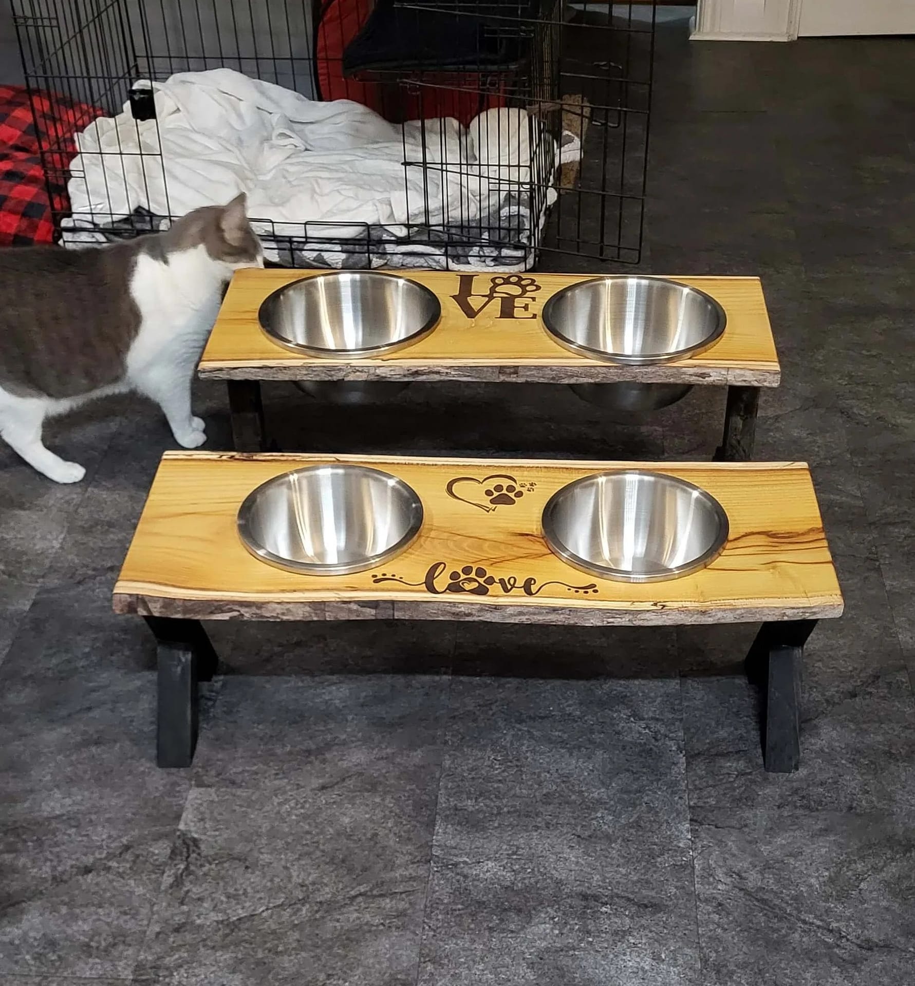 Pet Feeding Station - Image 13